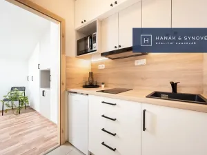 Pronájem bytu 1+kk, Brno, Anenská, 16 m2