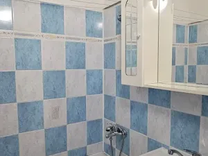 Pronájem bytu 3+kk, Havířov, Škroupova, 64 m2