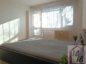 Prodej bytu 2+1, Mladá Boleslav, Jana Palacha, 63 m2