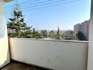 Prodej bytu 2+1, Chomutov, Skalková, 60 m2