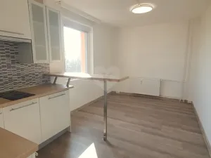 Pronájem bytu 1+kk, Praha - Černý Most, Bryksova, 19 m2