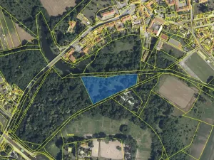 Prodej louky, Brandýs nad Labem-Stará Boleslav, Maxe Švabinského, 12291 m2