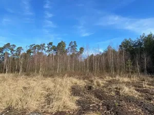 Dražba lesa, Veliny, 5028 m2