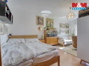 Prodej bytu 1+1, Plzeň - Severní Předměstí, Brněnská, 38 m2