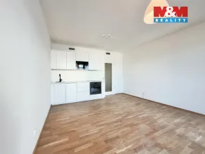 Pronájem bytu 1+kk, Praha, Mezi vodami, 30 m2