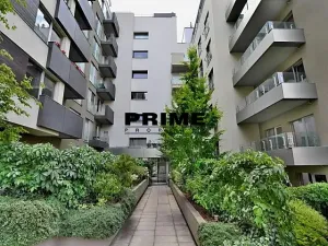 Pronájem bytu 2+kk, Praha - Žižkov, Prokopova, 56 m2