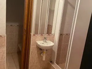 Pronájem komerční nemovitosti, Praha - Liboc, Na Džbánu, 100 m2