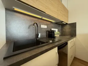 Prodej bytu 1+kk, Lipno nad Vltavou, 30 m2