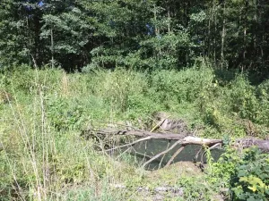 Dražba pozemku, Stonava, 4529 m2