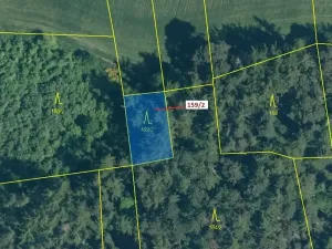 Dražba lesa, Kovčín, 362 m2