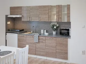 Pronájem - jiné, Ostrava, Riegrova, 300 m2