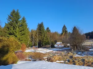 Prodej bytu 3+1, Harrachov, 65 m2