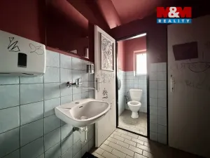 Prodej obchodního prostoru, Ratboř, 297 m2