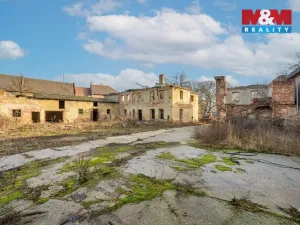 Prodej zemědělské usedlosti, Strupčice - Sušany, 150 m2