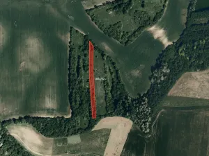 Prodej pole, Kyjov, 14142 m2