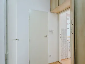 Pronájem bytu 1+1, Praha - Nusle, Na Jezerce, 53 m2