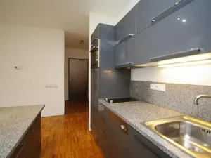 Pronájem bytu 2+kk, Praha - Žižkov, Prokopova, 58 m2