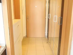 Pronájem bytu 1+kk, Praha - Hloubětín, Nepelova, 30 m2