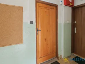 Prodej bytu 2+1, Nové Město na Moravě, Mírová, 60 m2