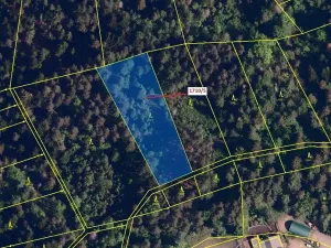 Dražba lesa, Návsí, 3528 m2