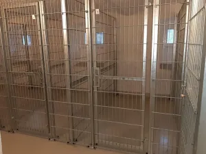 Pronájem bytu 2+1, Liberec, Masarykova, 100 m2