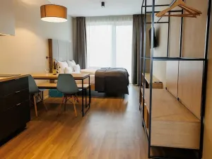 Pronájem bytu 1+kk, Plzeň, Pallova, 32 m2