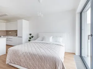 Pronájem bytu 1+kk, Brno - Veveří, Lidická, 52 m2