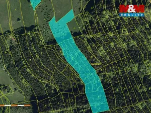 Prodej lesa, Nový Hrozenkov, 16666 m2