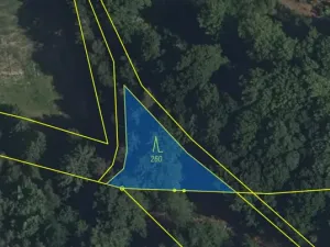 Prodej lesa, Volfířov - Brandlín, 406 m2