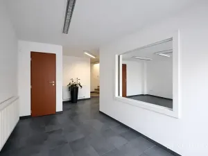 Pronájem obchodního prostoru, Hradec Králové, Vlčkovická, 700 m2