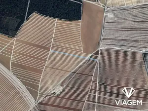 Prodej pole, Dolní Bojanovice, 3004 m2