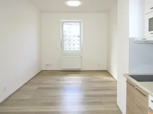 Pronájem bytu 1+kk, Brno, Lidická, 23 m2