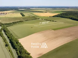 Prodej pole, Bulhary, 7380 m2