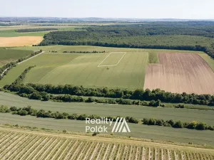 Prodej pole, Bulhary, 7380 m2