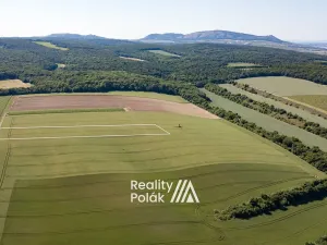 Prodej pole, Bulhary, 7380 m2