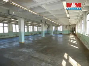 Pronájem výrobních prostor, Jílové - Modrá, 260 m2