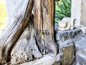 Prodej chaty, Odry, 96 m2