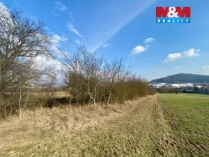 Prodej zahrady, Drásov, 2564 m2