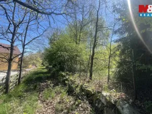 Prodej pozemku pro bydlení, Blatná - Čekanice, 3556 m2