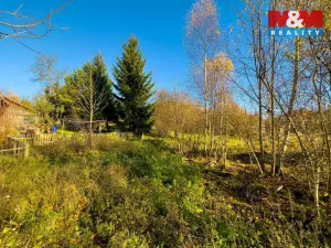 Prodej pozemku pro bydlení, Chřibská - Horní Chřibská, 8319 m2