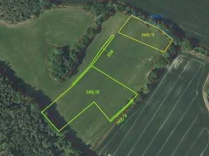 Prodej pole, Zvěstov, 51947 m2