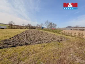 Prodej pole, Jenčice, 3167 m2