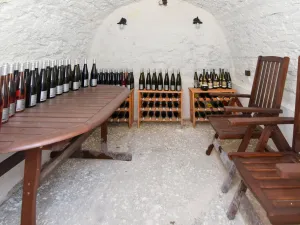 Prodej rodinného domu, Říčany - Jažlovice, Jažlovická, 249 m2