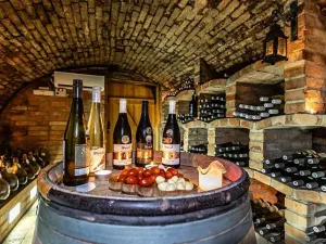 Prodej vinného sklepa, Mutěnice, 210 m2