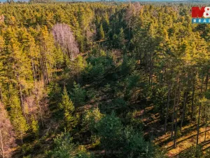 Prodej lesa, Olešnice, 18382 m2