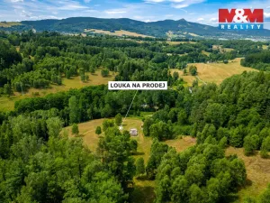 Prodej pozemku, Dlouhý Most, 8531 m2