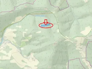 Prodej lesa, Janová, 7449 m2