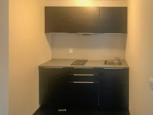 Pronájem bytu 1+kk, Brno, Hlinky, 44 m2