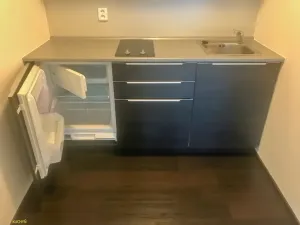 Pronájem bytu 1+kk, Brno, Hlinky, 44 m2