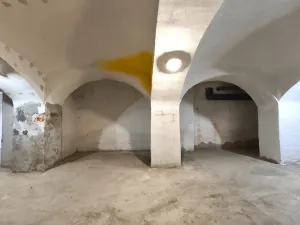 Pronájem skladu, Šenov, U Alejského dvora, 106 m2